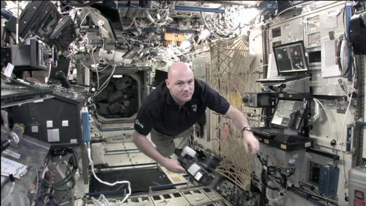 Zomeropening: FILM Beyond